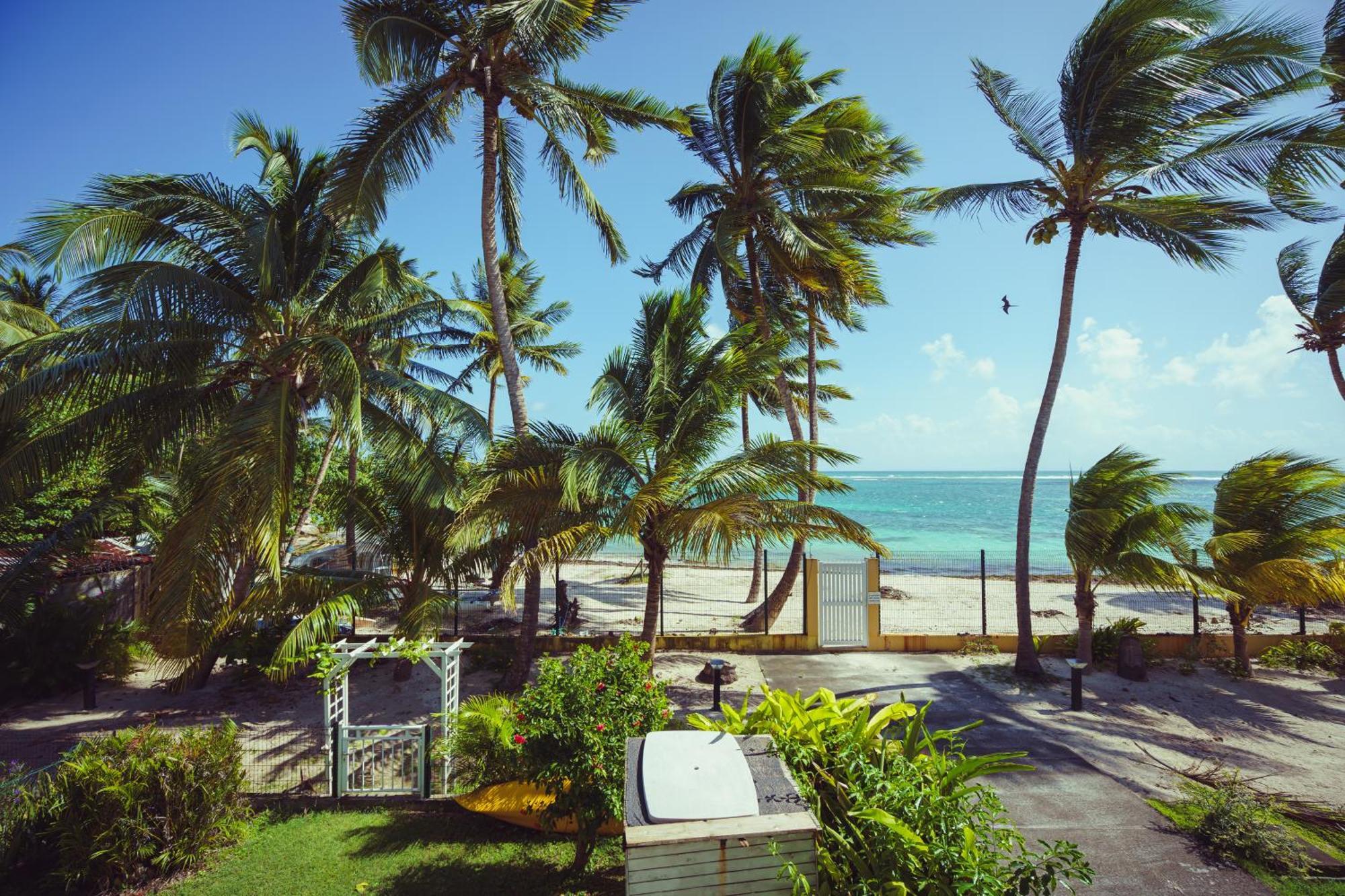 Le Touloublue - Tres Bel Appartement Face A La Mer Sainte-Anne  Luaran gambar